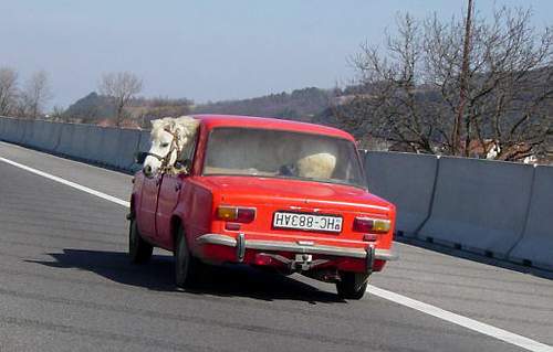 car11.JPG (22626 bytes)