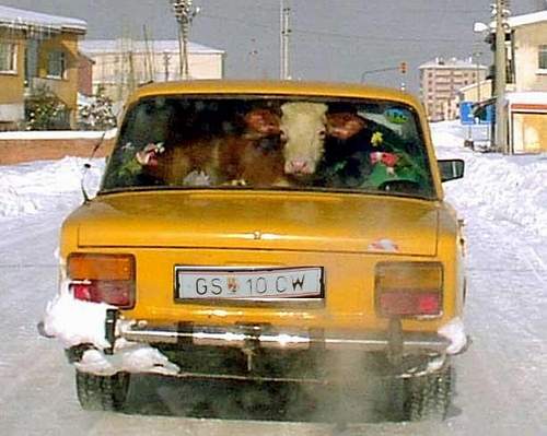 car3.JPG (33383 bytes)
