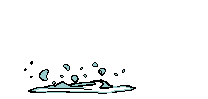 leapingfish.gif (6153 bytes)