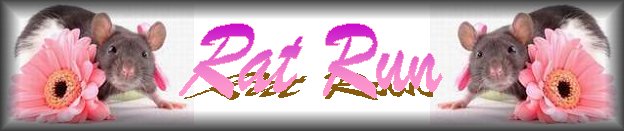 ratrun.jpg (23234 bytes)