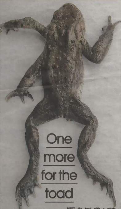 frog2a.JPG (24411 bytes)